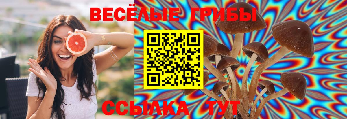 Галлюциногенные грибы мицелий Ярцево